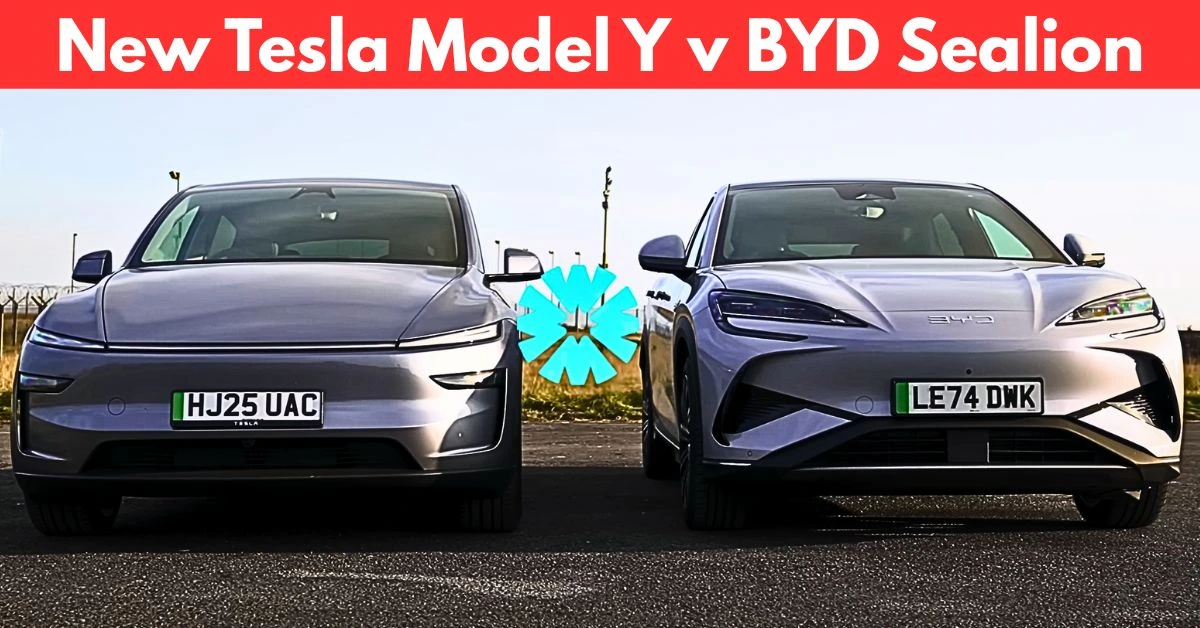 new tesla model y vs byd sealion
