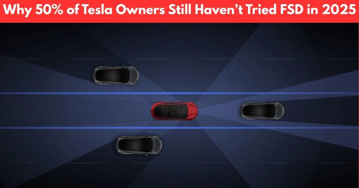 tesla fsd